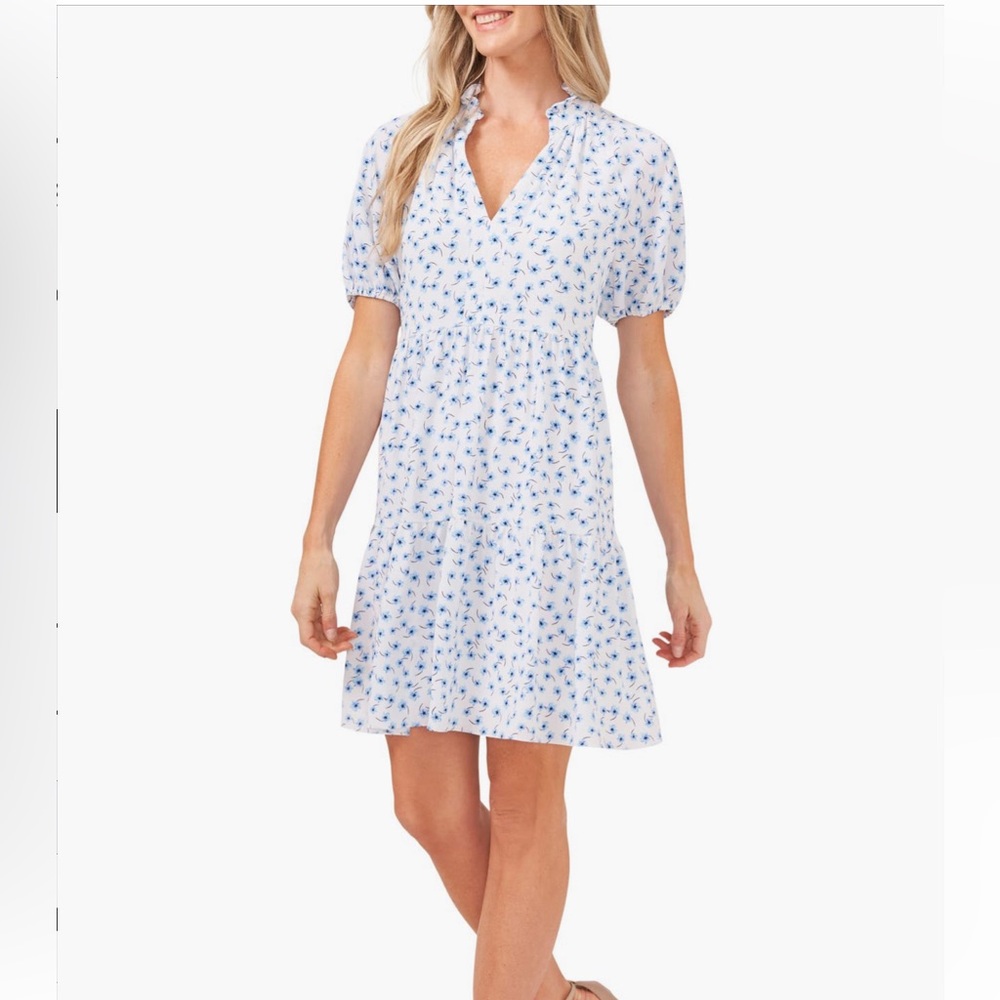 CeCe Brooke Minidress